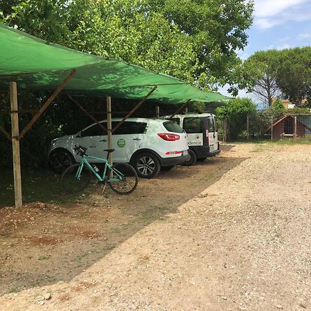 Agriturismo Il Podere Vedelago Con San Bernardo, Alpaca E Una Pentola Di Cose Da Scoprire Exterior foto