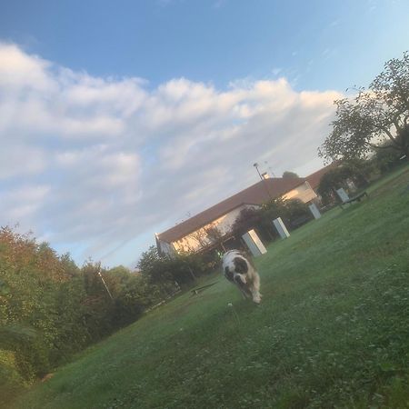 Agriturismo Il Podere Vedelago Con San Bernardo, Alpaca E Una Pentola Di Cose Da Scoprire Exterior foto