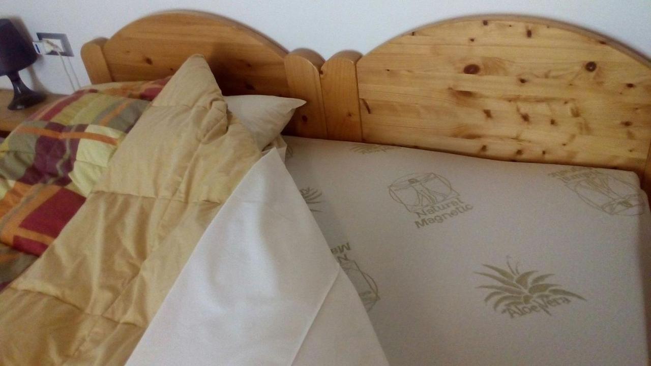 Agriturismo Il Podere Vedelago Con San Bernardo, Alpaca E Una Pentola Di Cose Da Scoprire Exterior foto