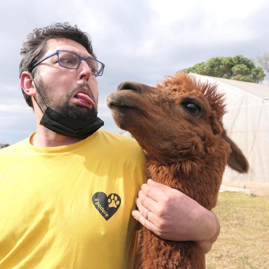 Agriturismo Il Podere Vedelago Con San Bernardo, Alpaca E Una Pentola Di Cose Da Scoprire Exterior foto
