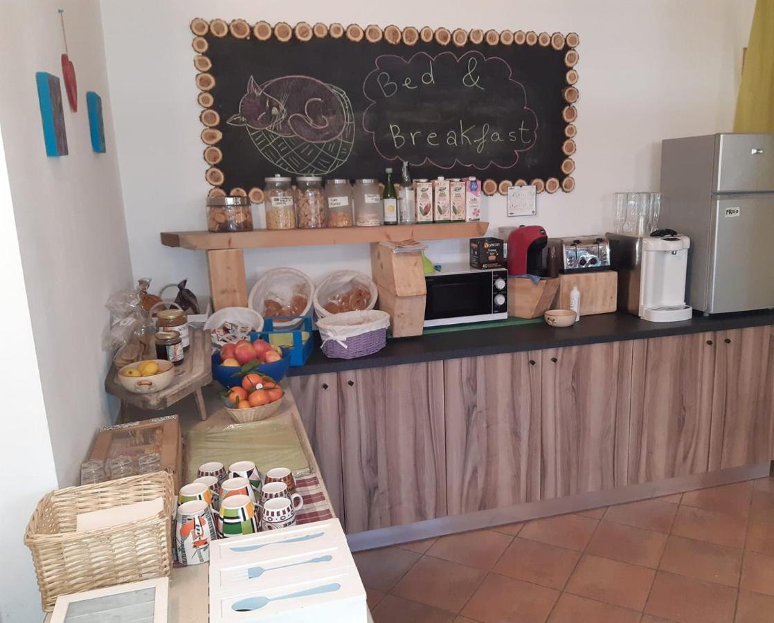 Agriturismo Il Podere Vedelago Con San Bernardo, Alpaca E Una Pentola Di Cose Da Scoprire Exterior foto