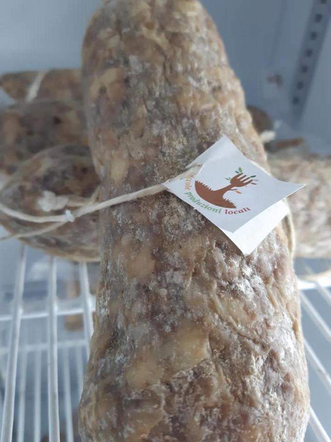 Agriturismo Il Podere Vedelago Con San Bernardo, Alpaca E Una Pentola Di Cose Da Scoprire Exterior foto