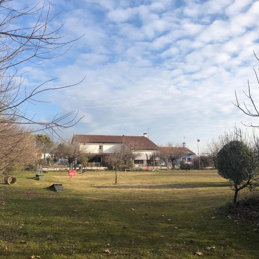 Agriturismo Il Podere Vedelago Con San Bernardo, Alpaca E Una Pentola Di Cose Da Scoprire Exterior foto