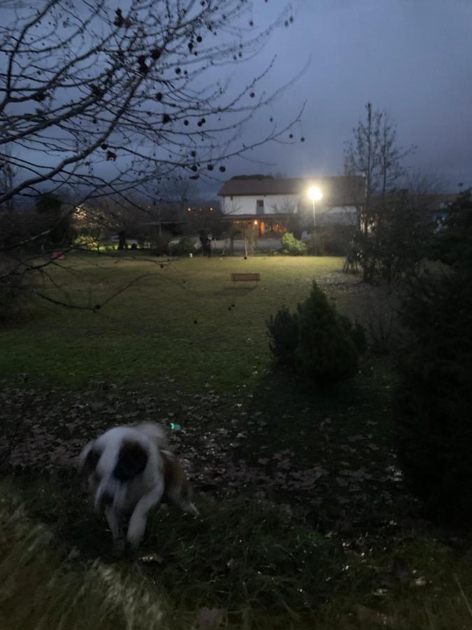 Agriturismo Il Podere Vedelago Con San Bernardo, Alpaca E Una Pentola Di Cose Da Scoprire Exterior foto