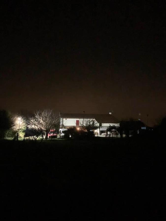Agriturismo Il Podere Vedelago Con San Bernardo, Alpaca E Una Pentola Di Cose Da Scoprire Exterior foto