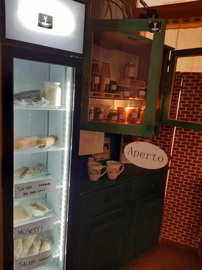 Agriturismo Il Podere Vedelago Con San Bernardo, Alpaca E Una Pentola Di Cose Da Scoprire Exterior foto