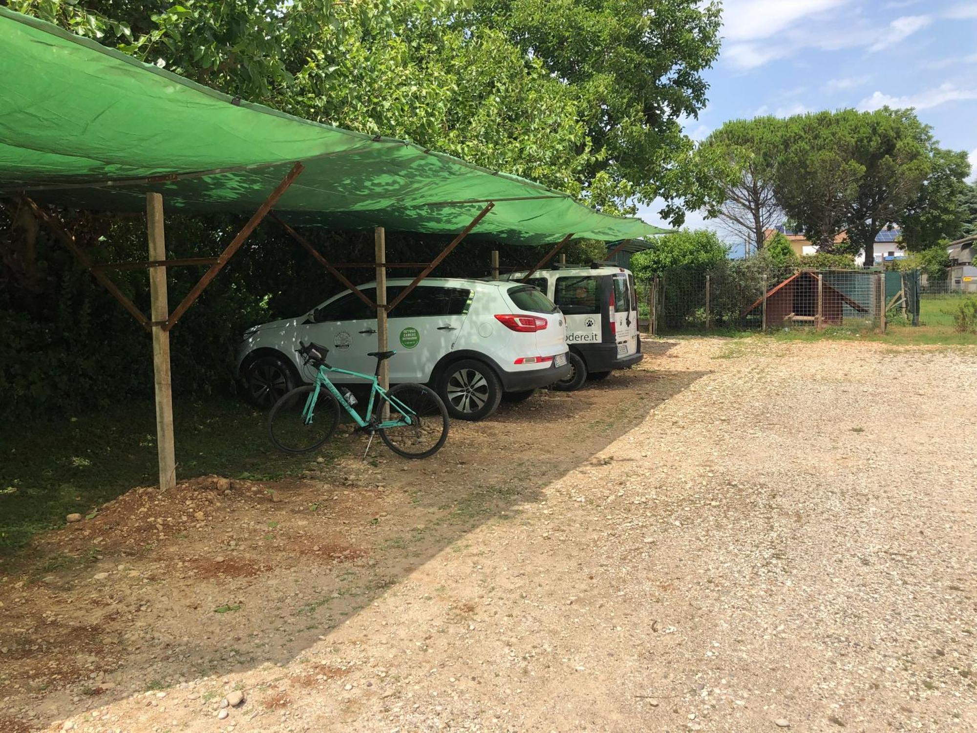 Agriturismo Il Podere Vedelago Con San Bernardo, Alpaca E Una Pentola Di Cose Da Scoprire Exterior foto