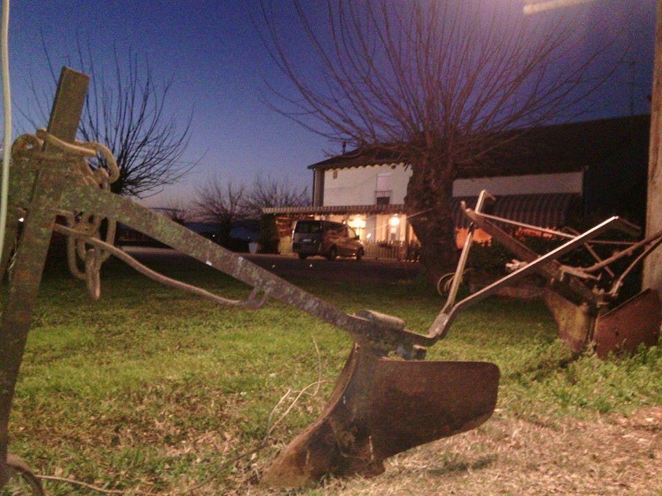 Agriturismo Il Podere Vedelago Con San Bernardo, Alpaca E Una Pentola Di Cose Da Scoprire Exterior foto