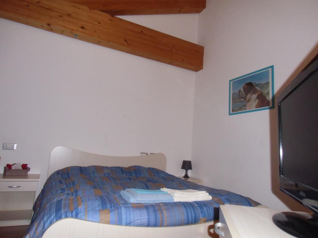 Agriturismo Il Podere Vedelago Con San Bernardo, Alpaca E Una Pentola Di Cose Da Scoprire Exterior foto