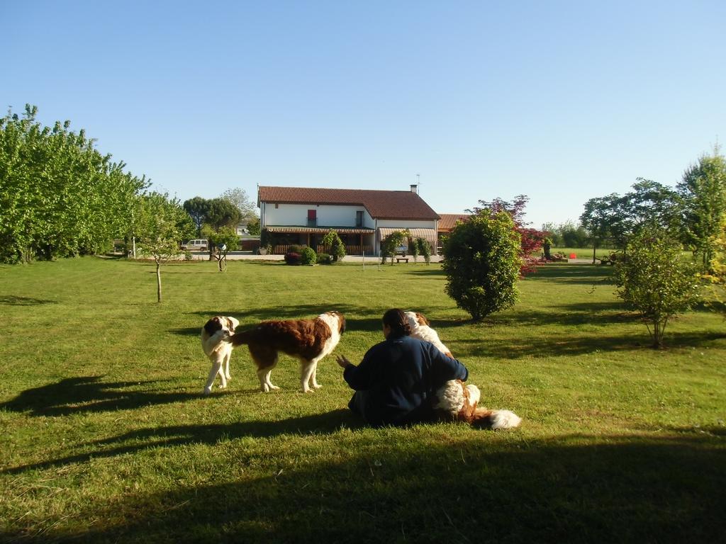 Agriturismo Il Podere Vedelago Con San Bernardo, Alpaca E Una Pentola Di Cose Da Scoprire Exterior foto