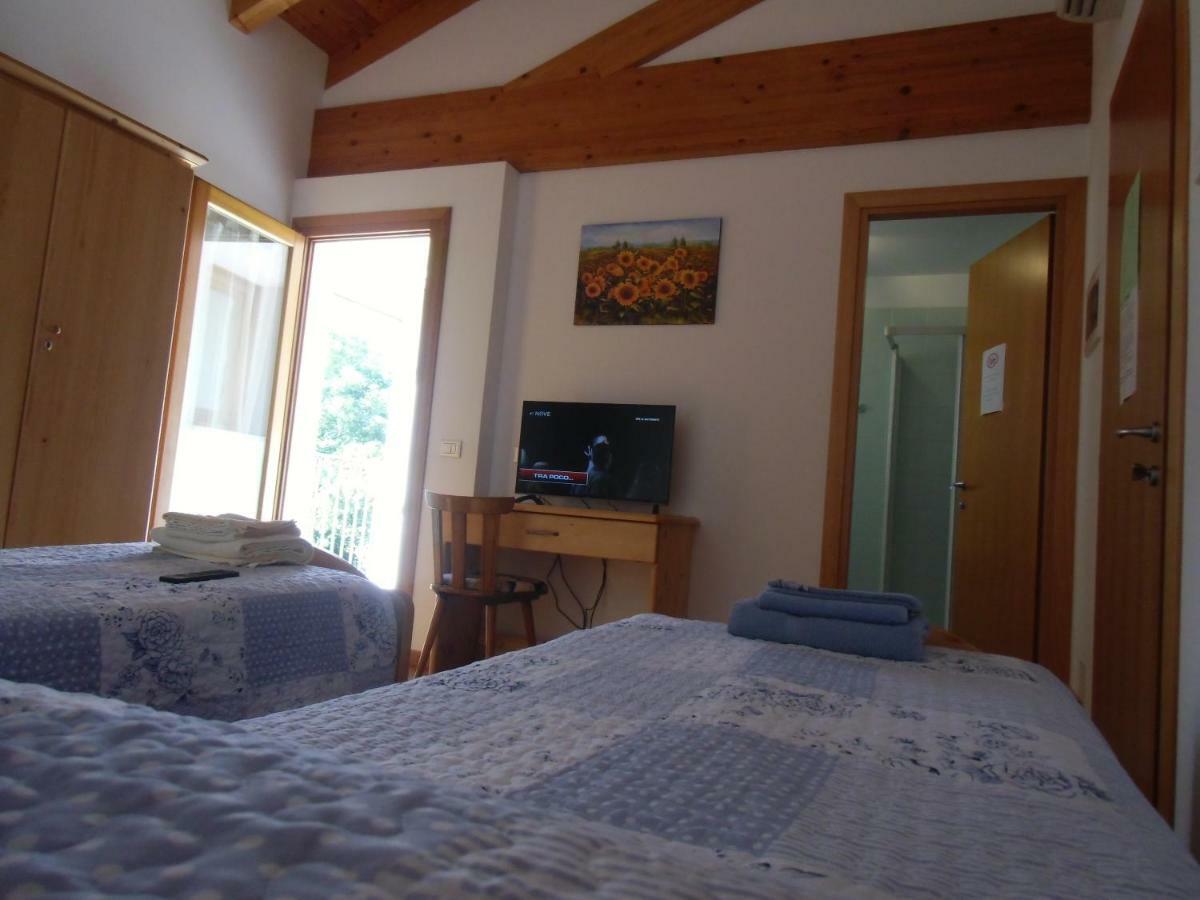 Agriturismo Il Podere Vedelago Con San Bernardo, Alpaca E Una Pentola Di Cose Da Scoprire Exterior foto